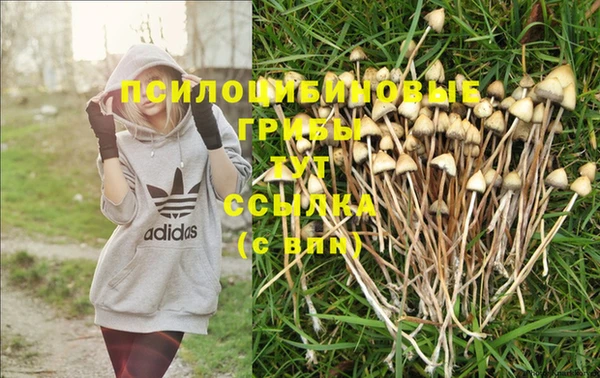 дмт Белокуриха