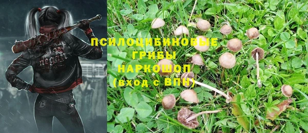 спайс Белоозёрский