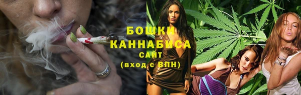 дмт Белокуриха