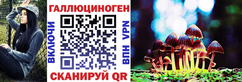 Псилоцибиновые грибы Psilocybine cubensis  Ясногорск 